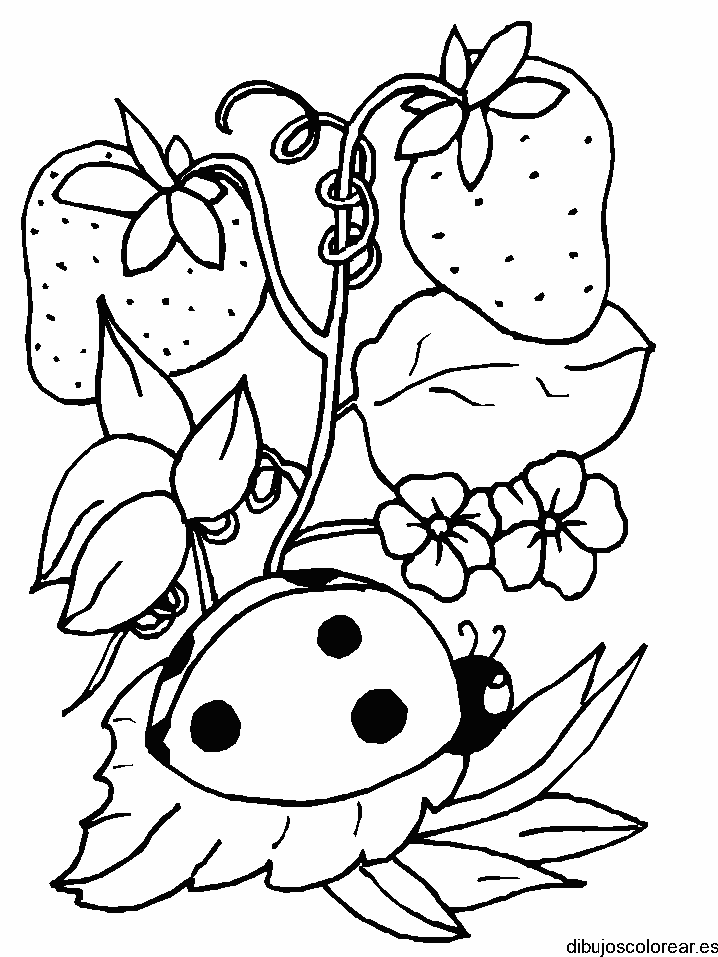Dibujo de una mariquita y fresas