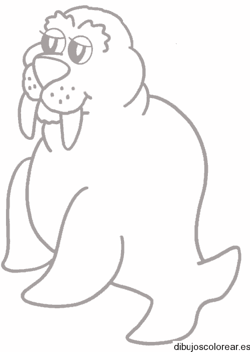 Dibujo de una pequeña  morsa