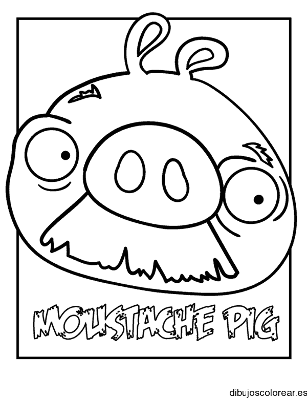 Dibujo de Moustache Pig