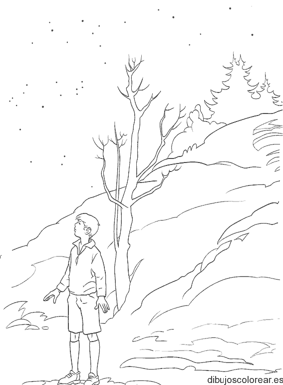 Dibujo de un niño en el bosque