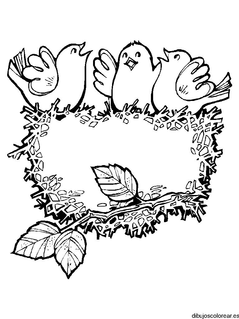Dibujo de un nido de pájaros