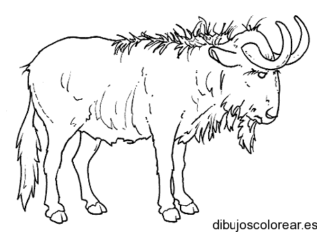 Dibujo de un ñu