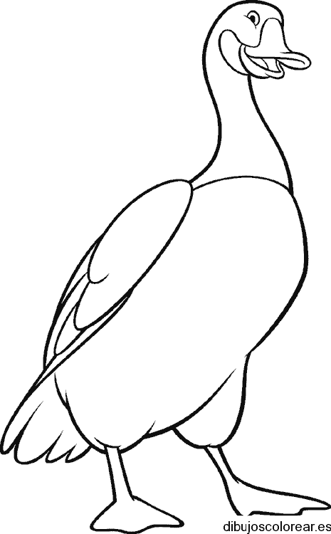 Dibujo de un gran pato