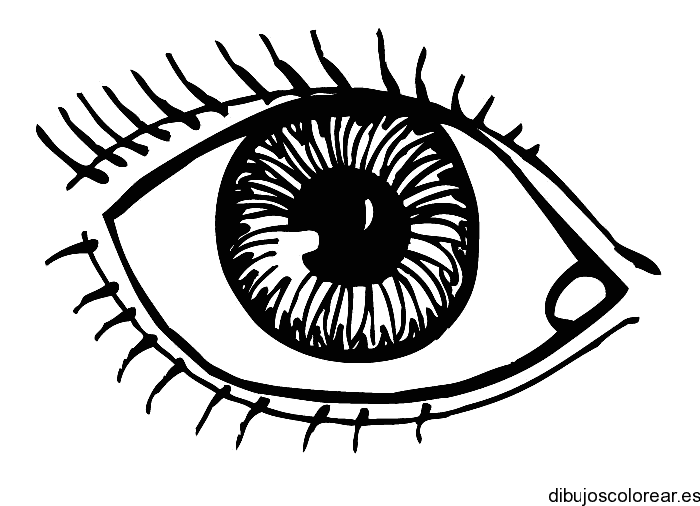Dibujo de un ojo