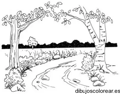 Dibujo de un paisaje de árboles