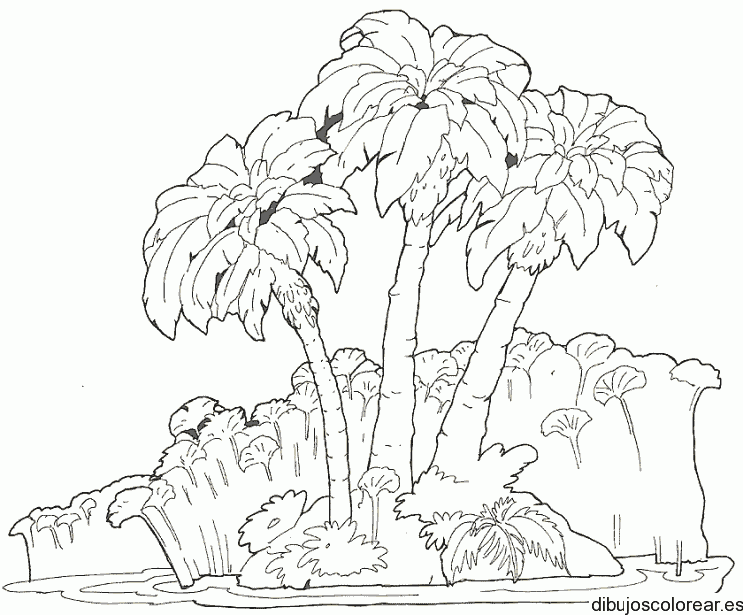 Dibujo de una playa con palmeras 