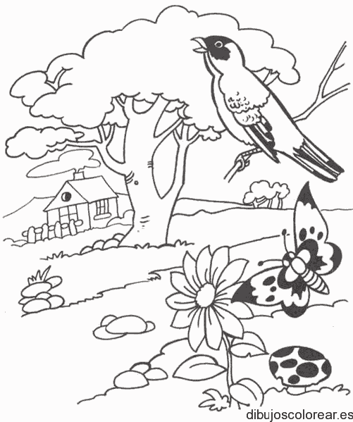 Dibujo de un jardín con una ave 