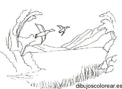 Dibujo de un campo de aves 
