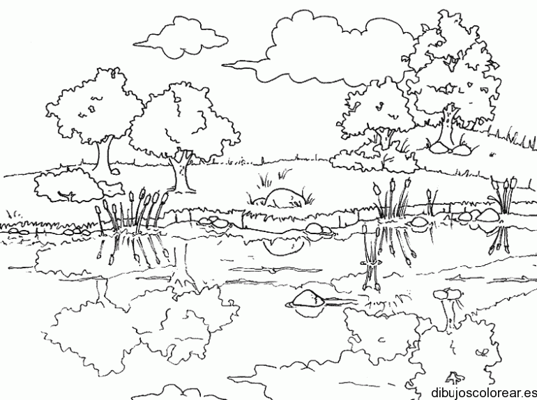 Dibujo de paisaje del bosque 