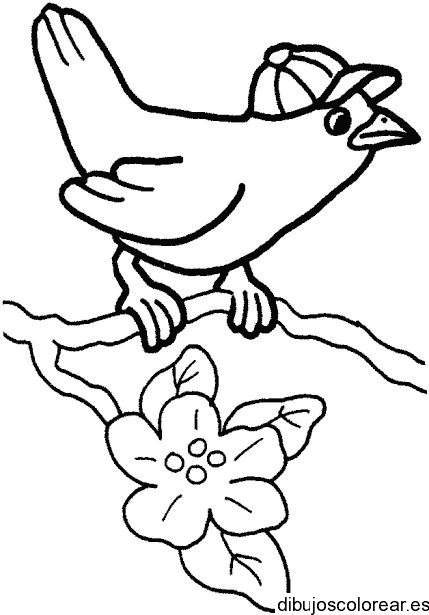 Dibujo de un pájaro con un gorro
