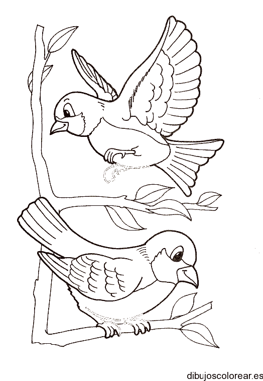Dibujo de una pareja de pájaros