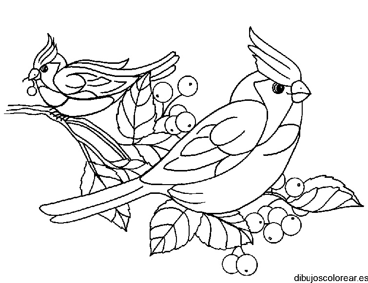 Dibujo de dos pájaros en una rama