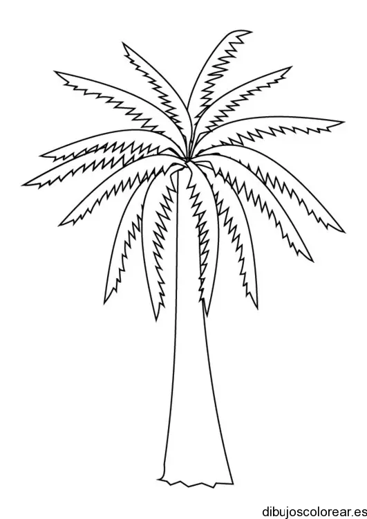 Dibujo de una palmera