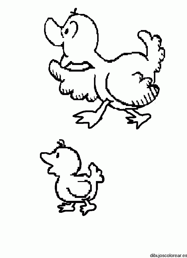 Dibujo de dos patitos
