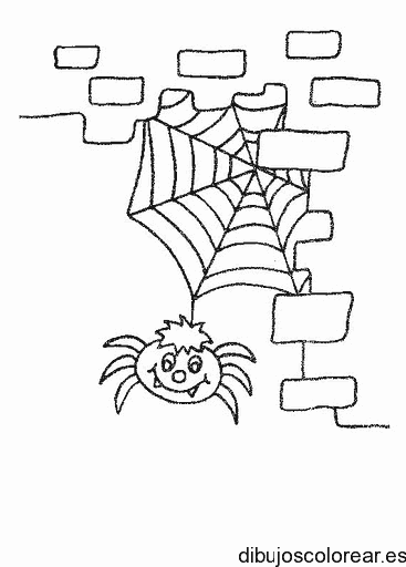 Dibujo de una telaraña con su araña