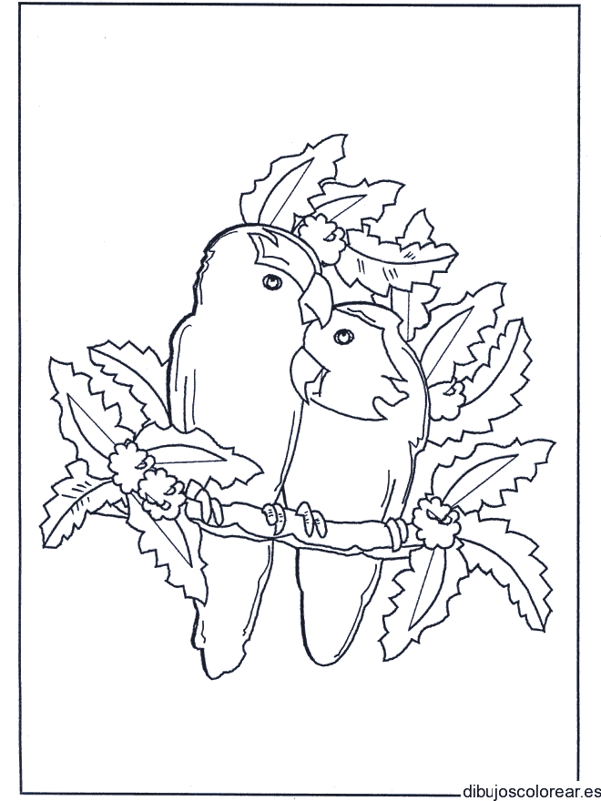 Dibujo de una pareja de loros 
