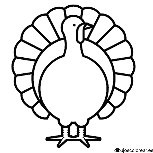 Dibujo de un pavo real