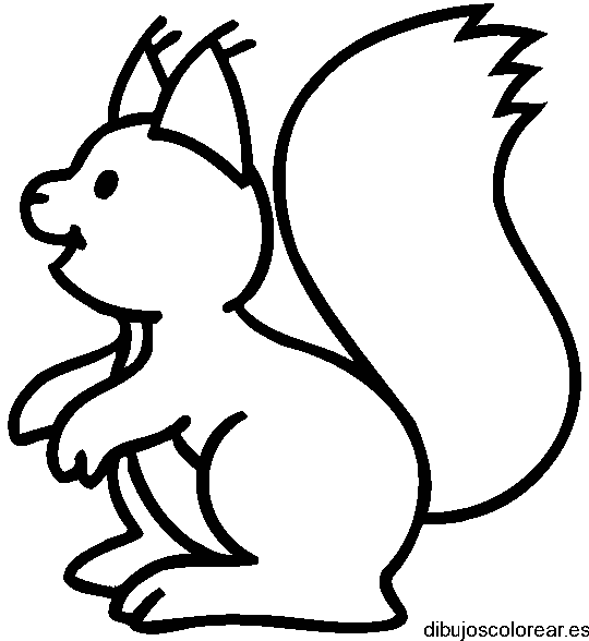 Dibujo de una ardilla pequeña
