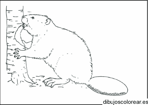 Dibujo de un topo mordiendo un árbol