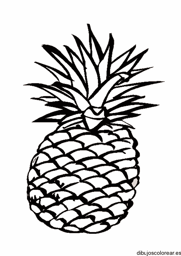 Dibujo de una piña