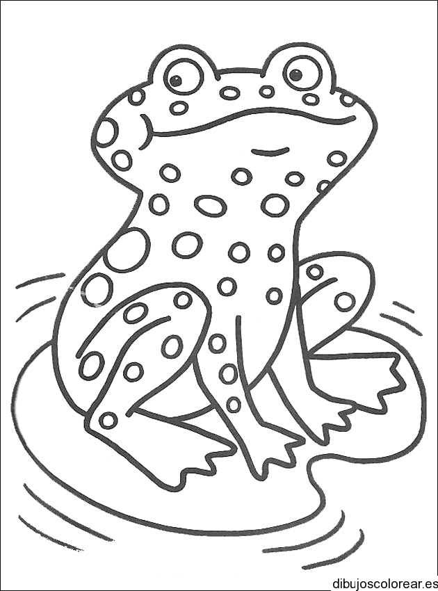 Dibujo de un sapo pequeño