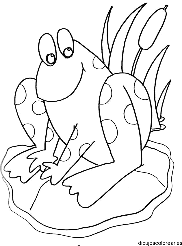 Dibujo de un sapo entre hojas