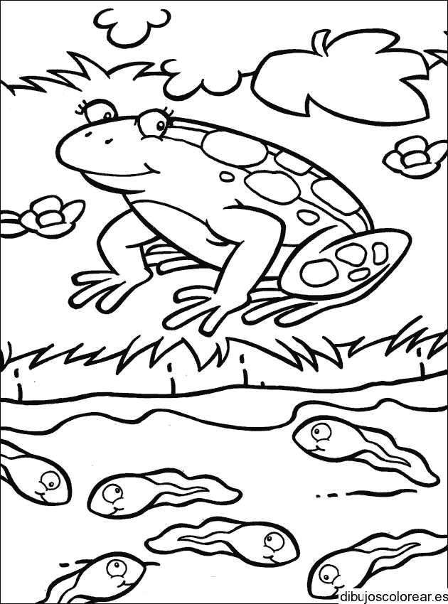 Dibujo de rana y peces