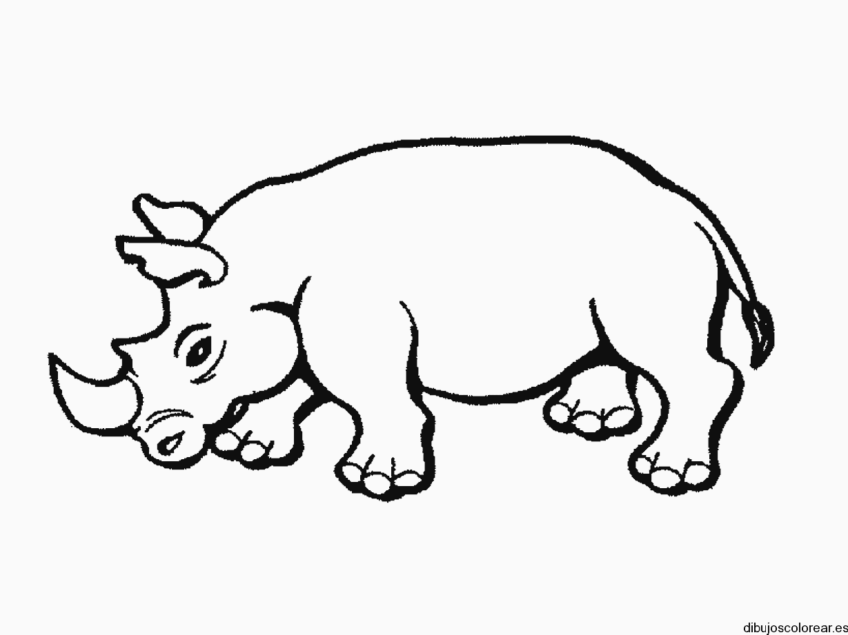 Dibujo de un pequeño rinoceronte