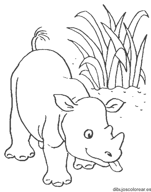Dibujo de un rinoceronte bebe