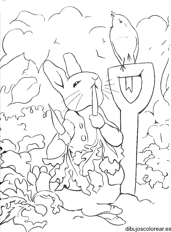 Dibujo de la liebre y el pájaro