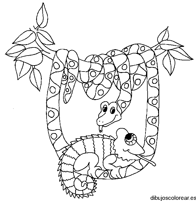 Dibujo de una serpiente y una lagartija