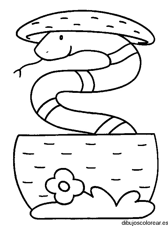 Dibujo de una serpiente encantada