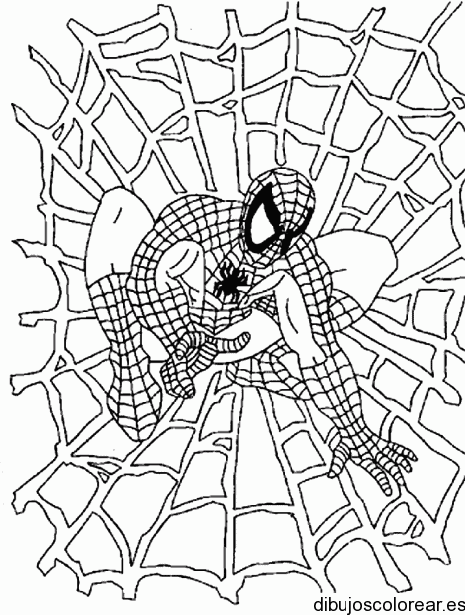 Dibujo de Spiderman y una telaraña