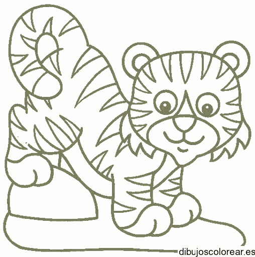 Dibujo de un pequeño tigre 