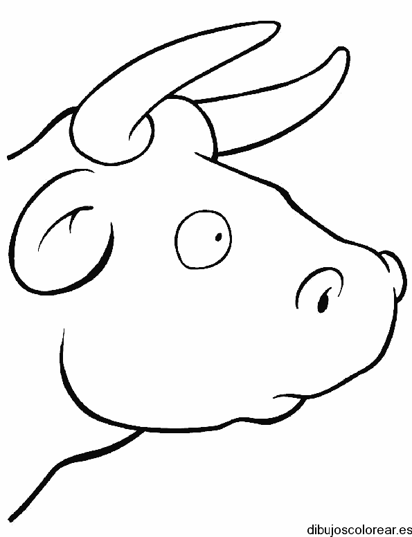 Dibujo del rostro de un toro 