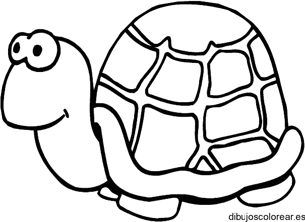 Dibujo de una tortuga sonriendo