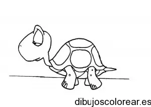 Dibujo de una pequeña tortuga