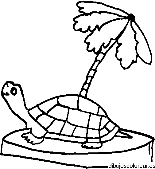 Dibujo de una tortuga bajo una palmera