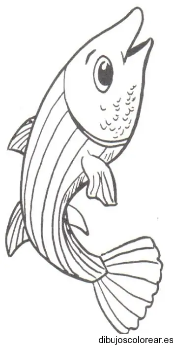 Dibujo de una trucha
