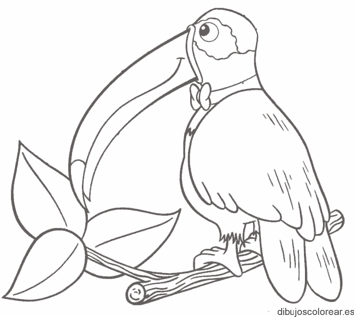 Dibujo de un tucán