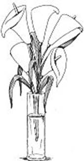 Dibujo de flores en jarrón