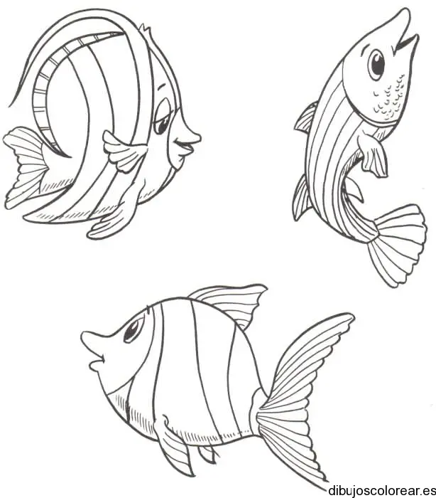 Tres peces