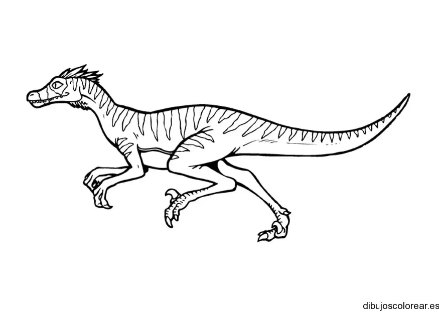 Dibujo de un velociraptor