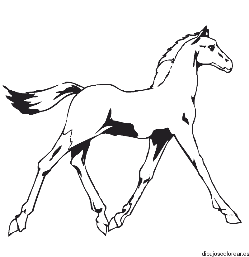 Dibujo de un pequeño caballo