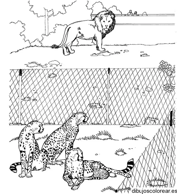 Dibujo de un zoológico