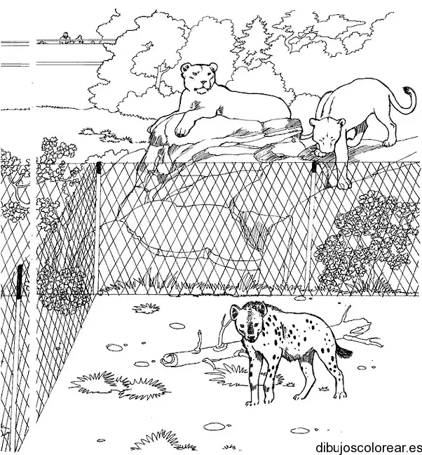 Dibujo de un tigre enjaulado