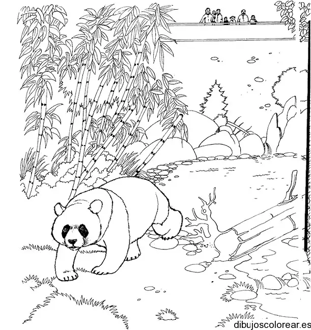 Dibujo de un oso panda en el bosque