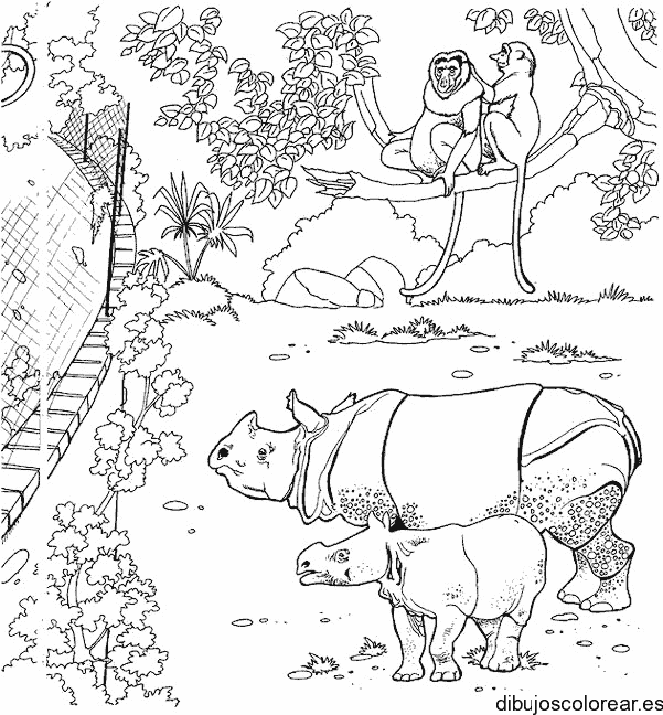 Dibujo de dos rinocerontes