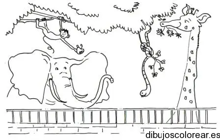 Dibujo de un Zoo